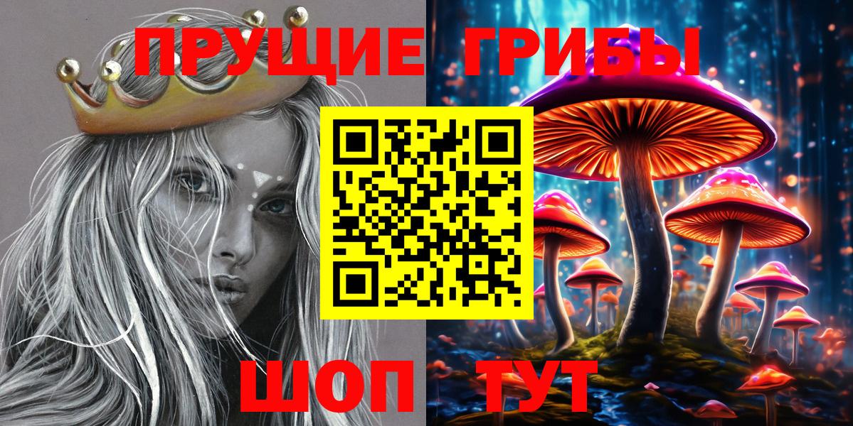 Псилоцибиновые грибы прущие грибы Сокол
